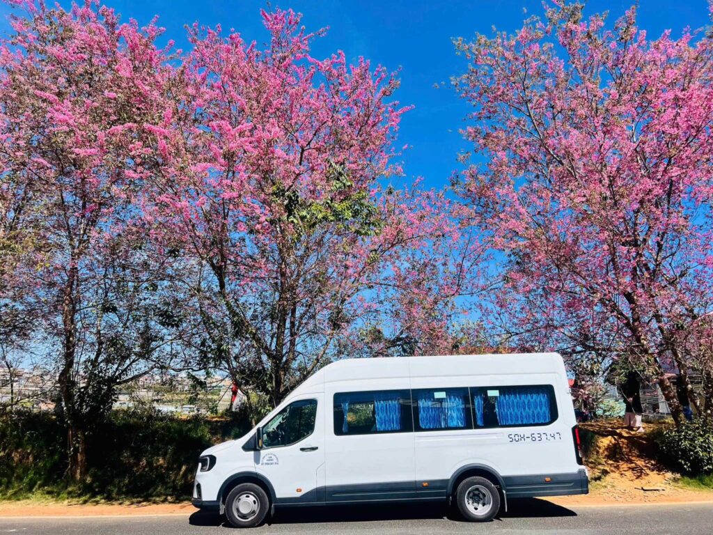 Chúng ta Nên Chọn Thuê Xe 18 Chỗ Chạy Nội Thành vì An Toàn Và Tiện Nghi